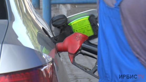 Причины отсутствия бензина объяснили павлодарские чиновники